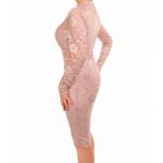 Oyster Pink Sweetheart Lace Dress