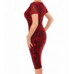 Red Burnout Velour Dress