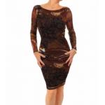 Brown Graphic Print Mesh Dress