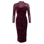 Wine Velvet Sequin and Mesh Midi Dress