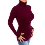 Burgundy Ribbed Polo Neck Clingy Jumper